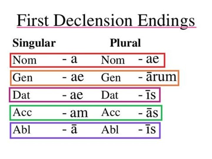 1st declension latin