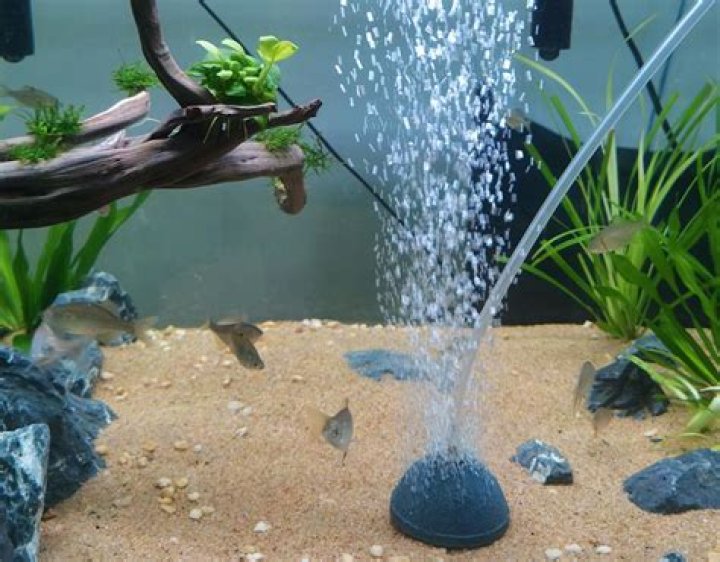 air stone aquarium