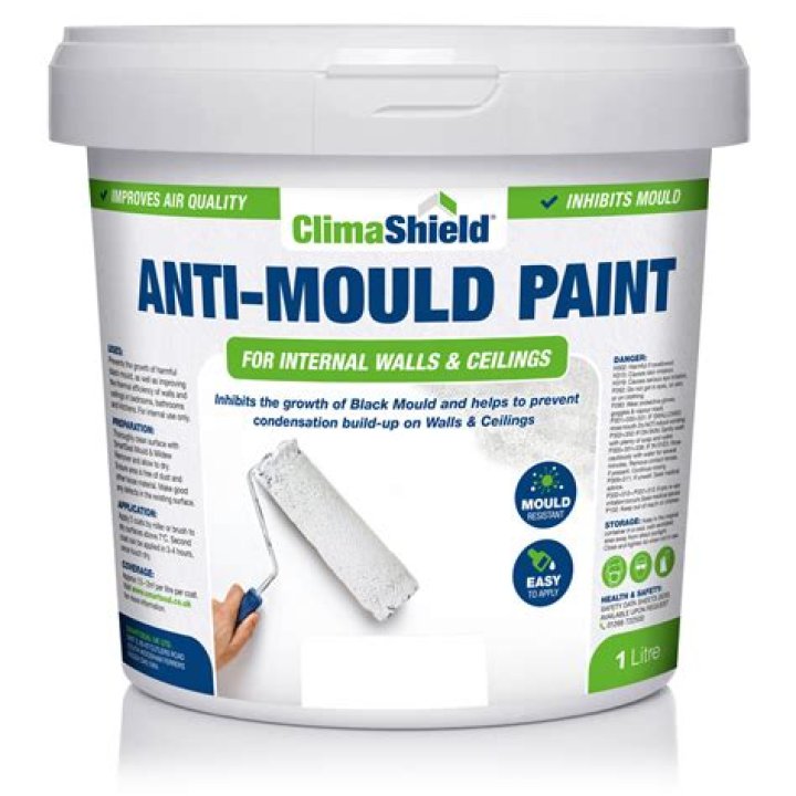 anti mold paint