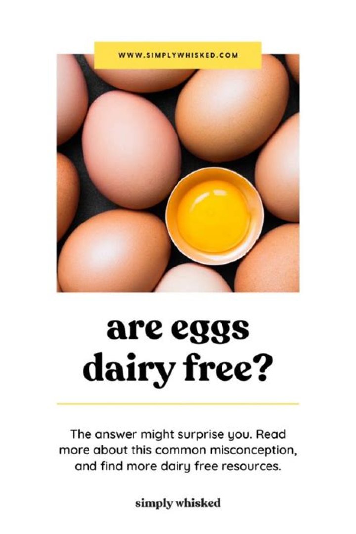 are eggs dairy free