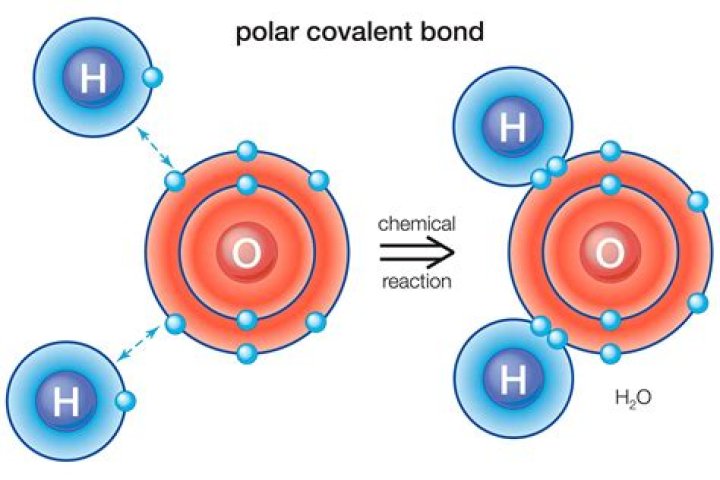 are ionic bonds polar