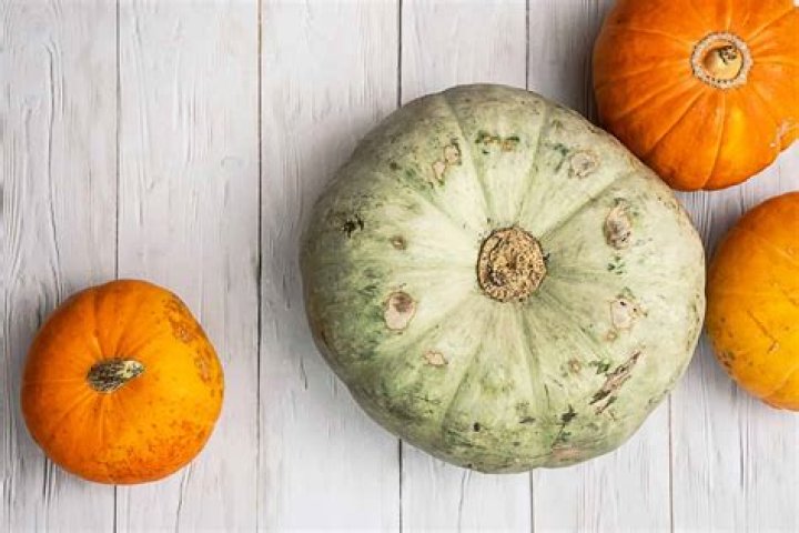 are pumpkins berries