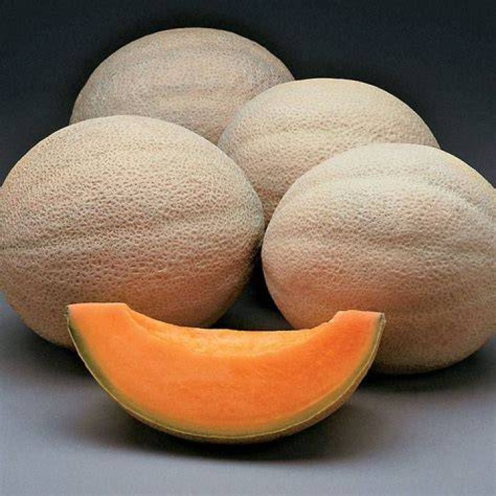 athena cantaloupe