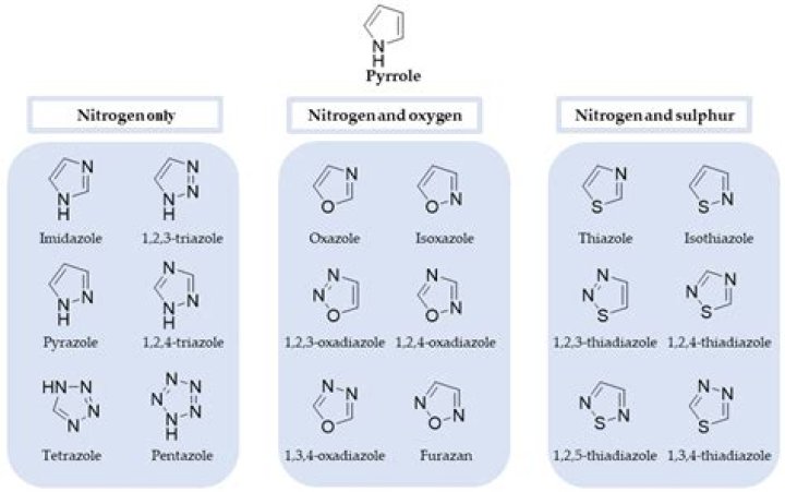 azole drugs