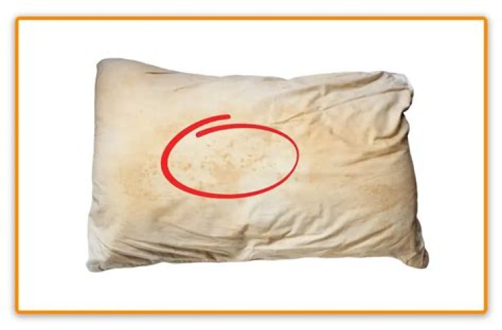 bed bug feces on pillow