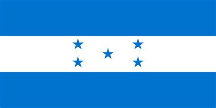 blue white flag with stars