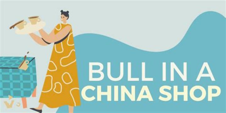 bull in a china shop meaning