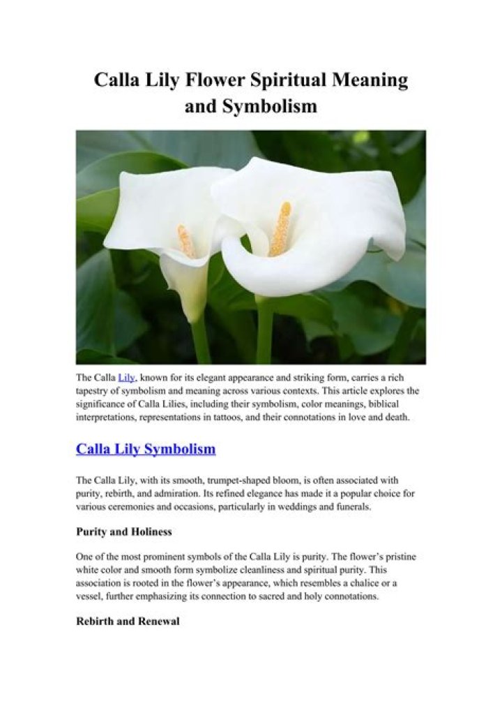 calla lilies meaning