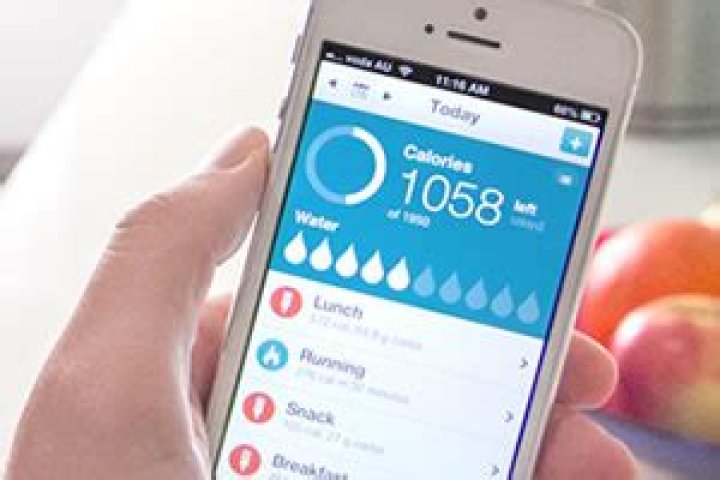 calorieking app