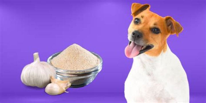 can dogs eat garlic powder