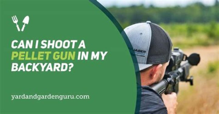 can i shoot a pellet gun in my backyard