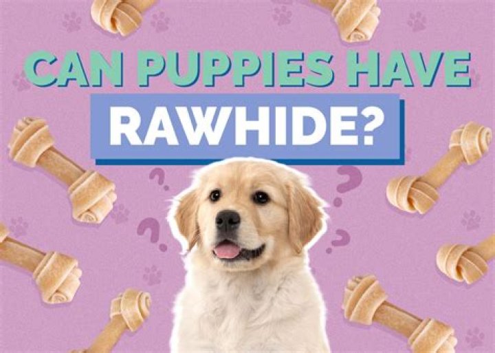 can puppies have rawhide