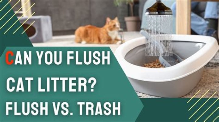can you flush cat litter