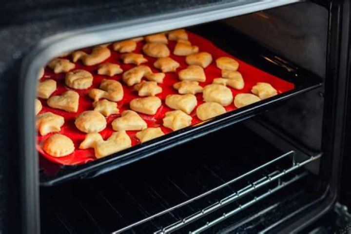can you put silicone in the oven