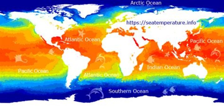 cape cod water temperature