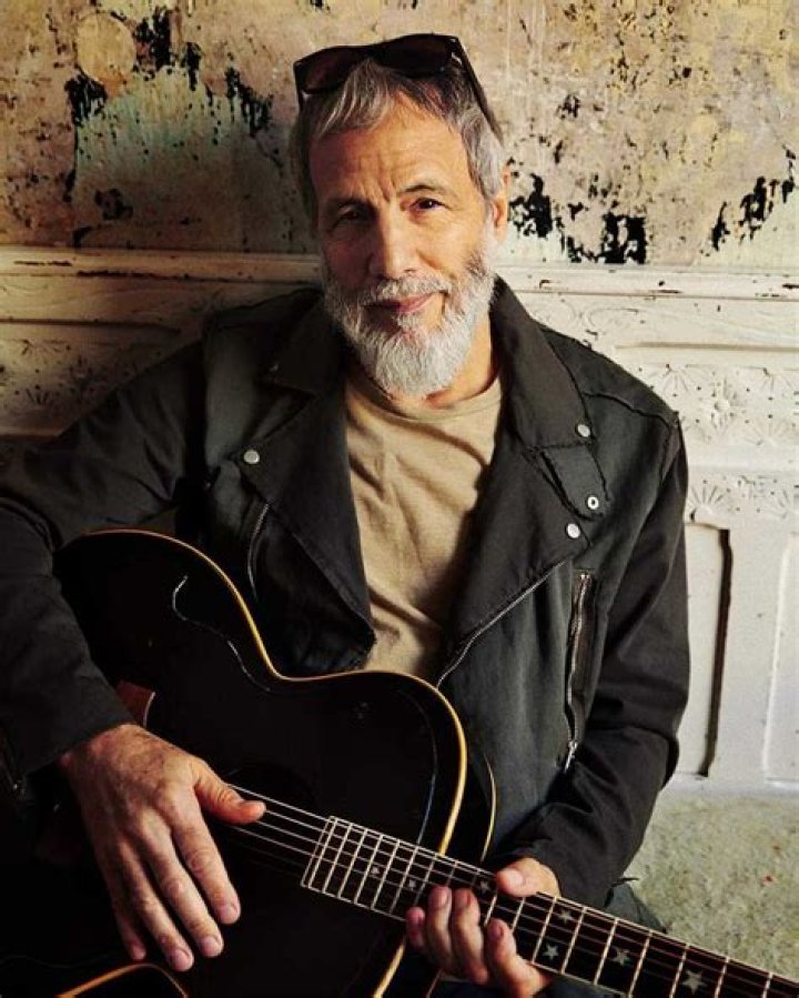 cat stevens net worth