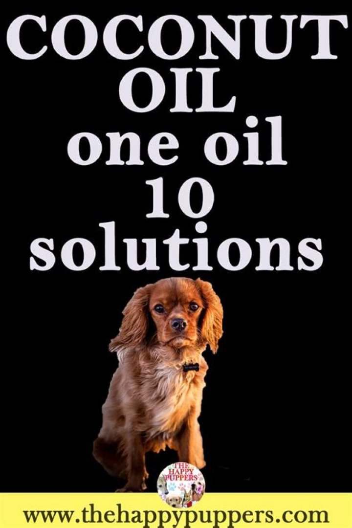 coconut oil for dog constipation