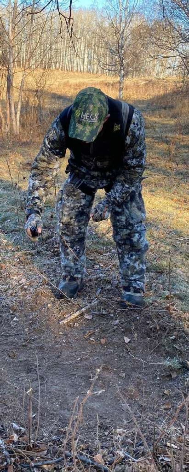 deer rub