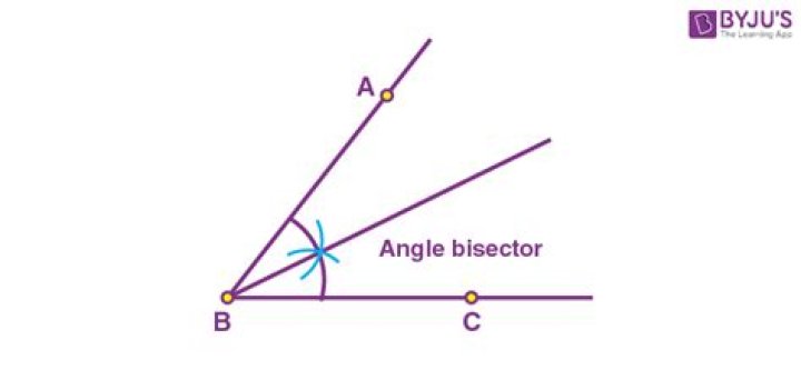 definition of bisector
