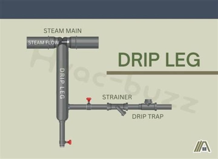 dirt leg