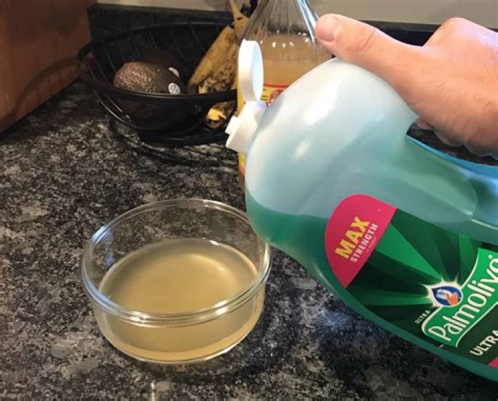 does vinegar kill flies