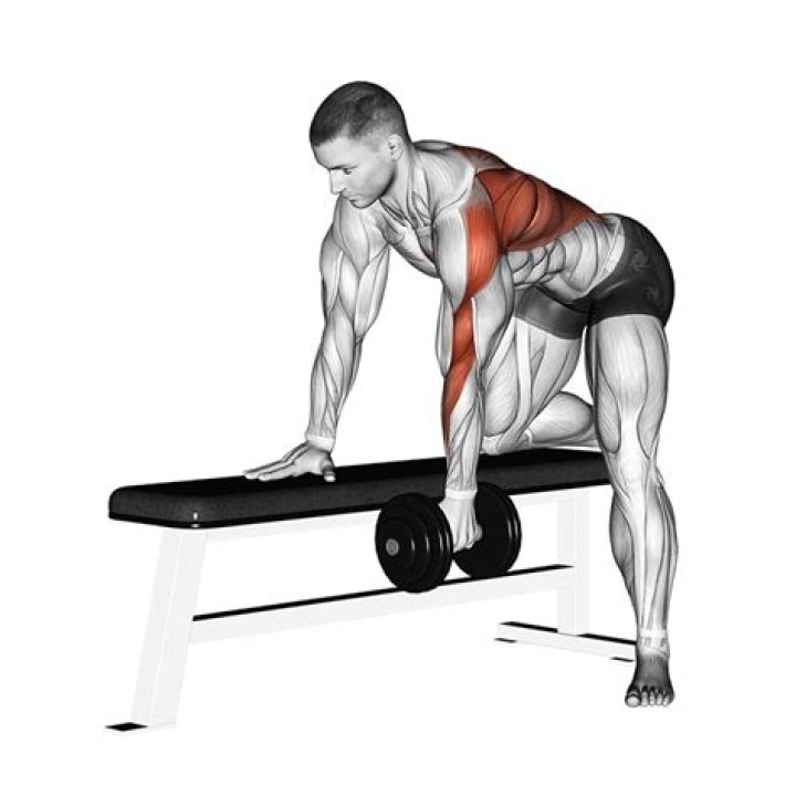 dumbbell rows muscles worked