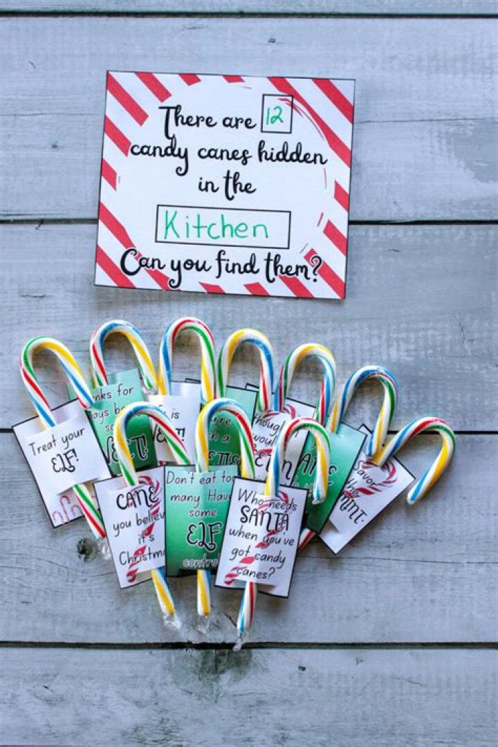 elf on the shelf with candy canes