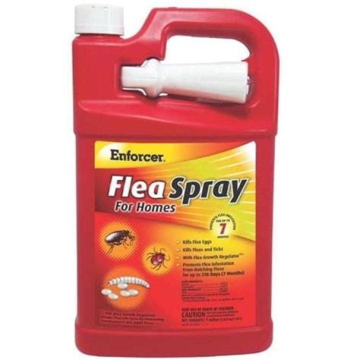 enforcer flea spray for homes