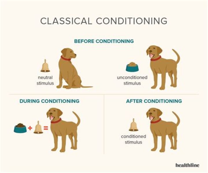examples of classical conditioning in everyday life