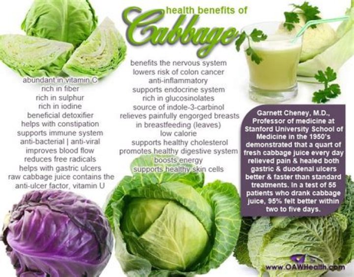 fiber in cabbage