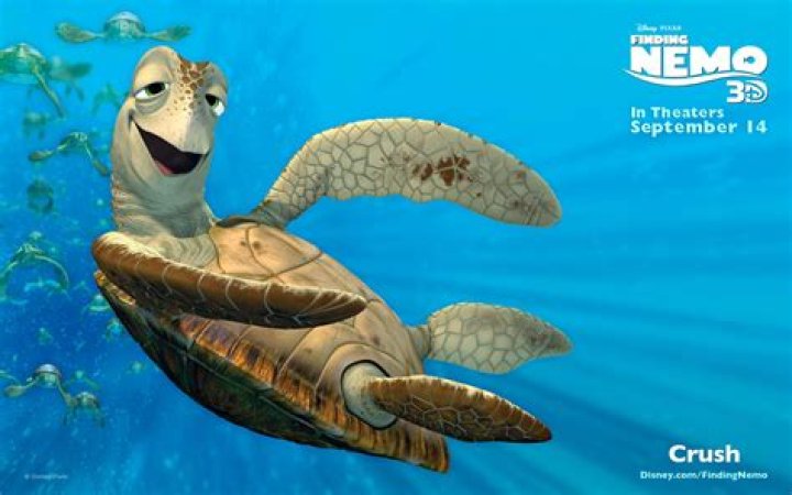 finding nemo crush
