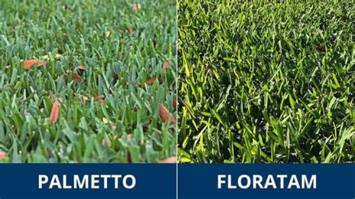 floratam