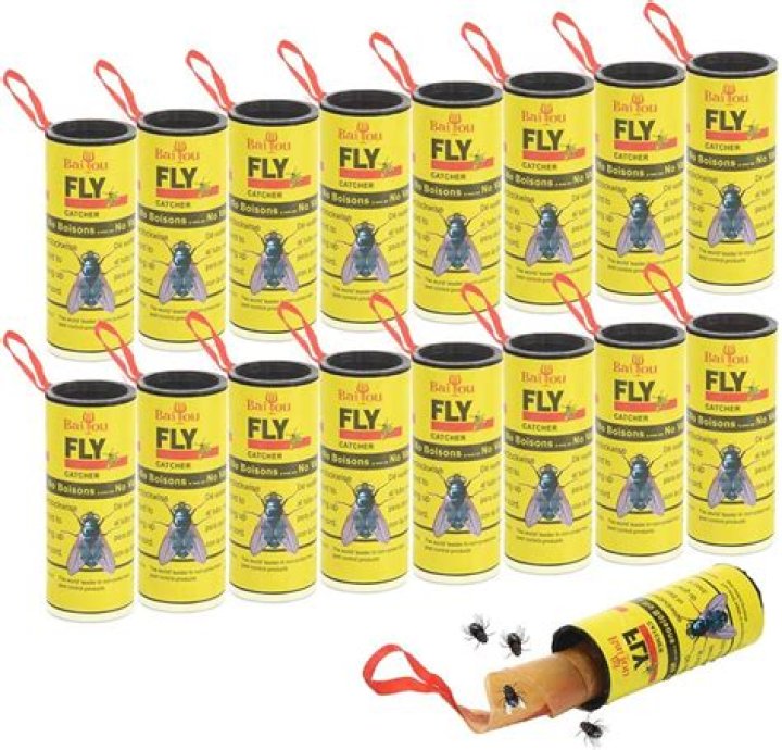 fly paper strips