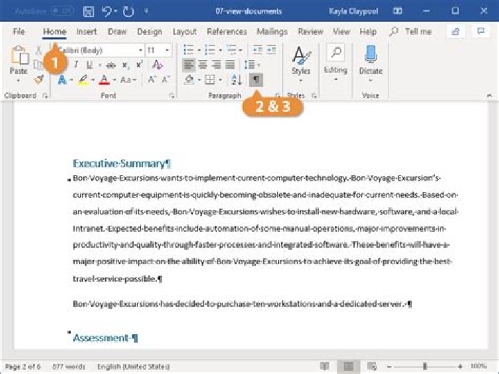 formatting marks in word