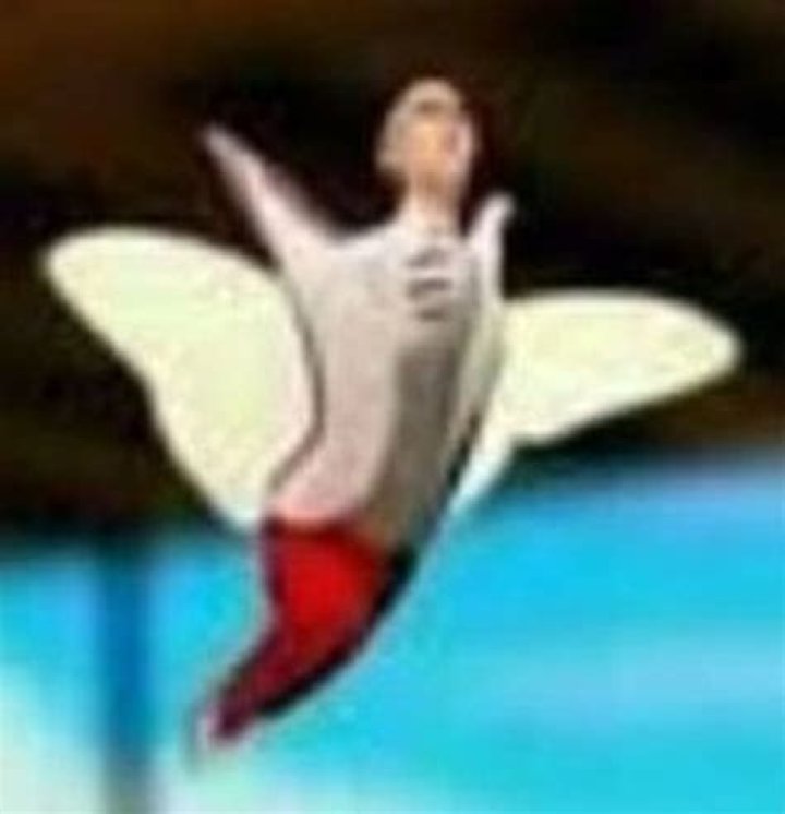 gabriel agreste butterfly