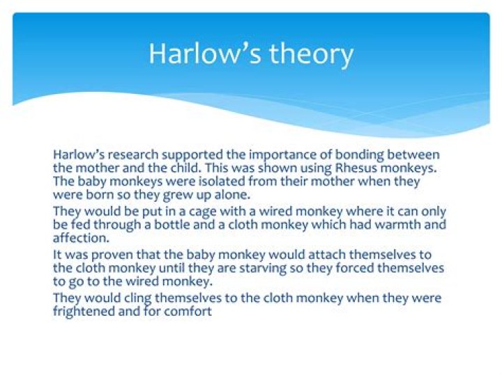 harry harlow theory