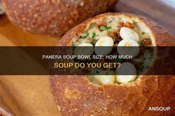 How large is a bowl of soup at Panera? check this out | how many ounces in a bowl of soup at panera