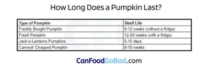 how long does a pumpkin last