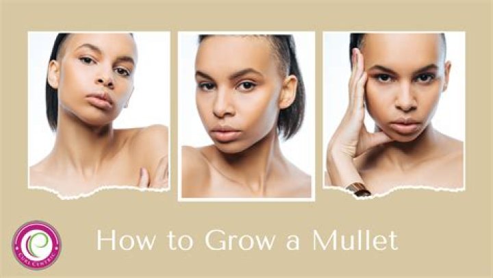 how long does it take to grow a mullet