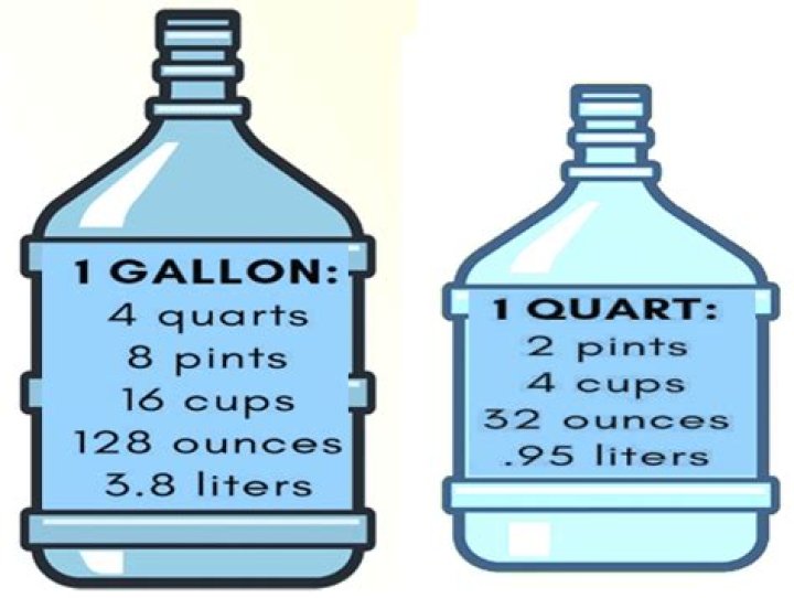 HOW MUCH CAN 4 quarts hold? check this out | how big is 4 quart pot