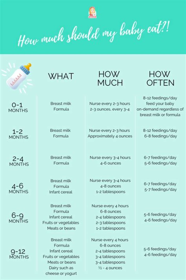 how much should baby eat