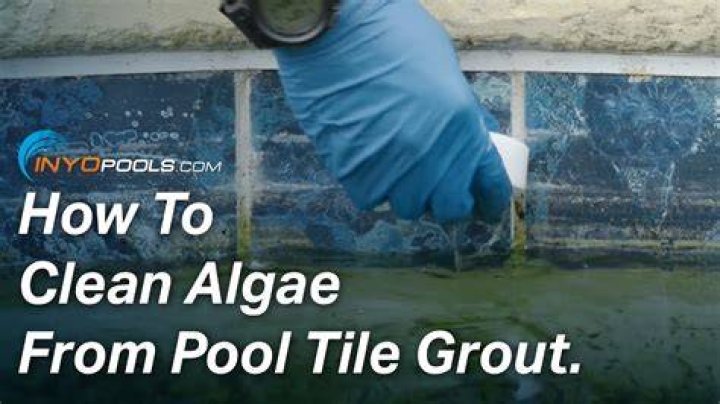 how to clean algae from pool