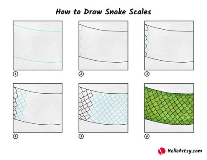 how to draw snake scales