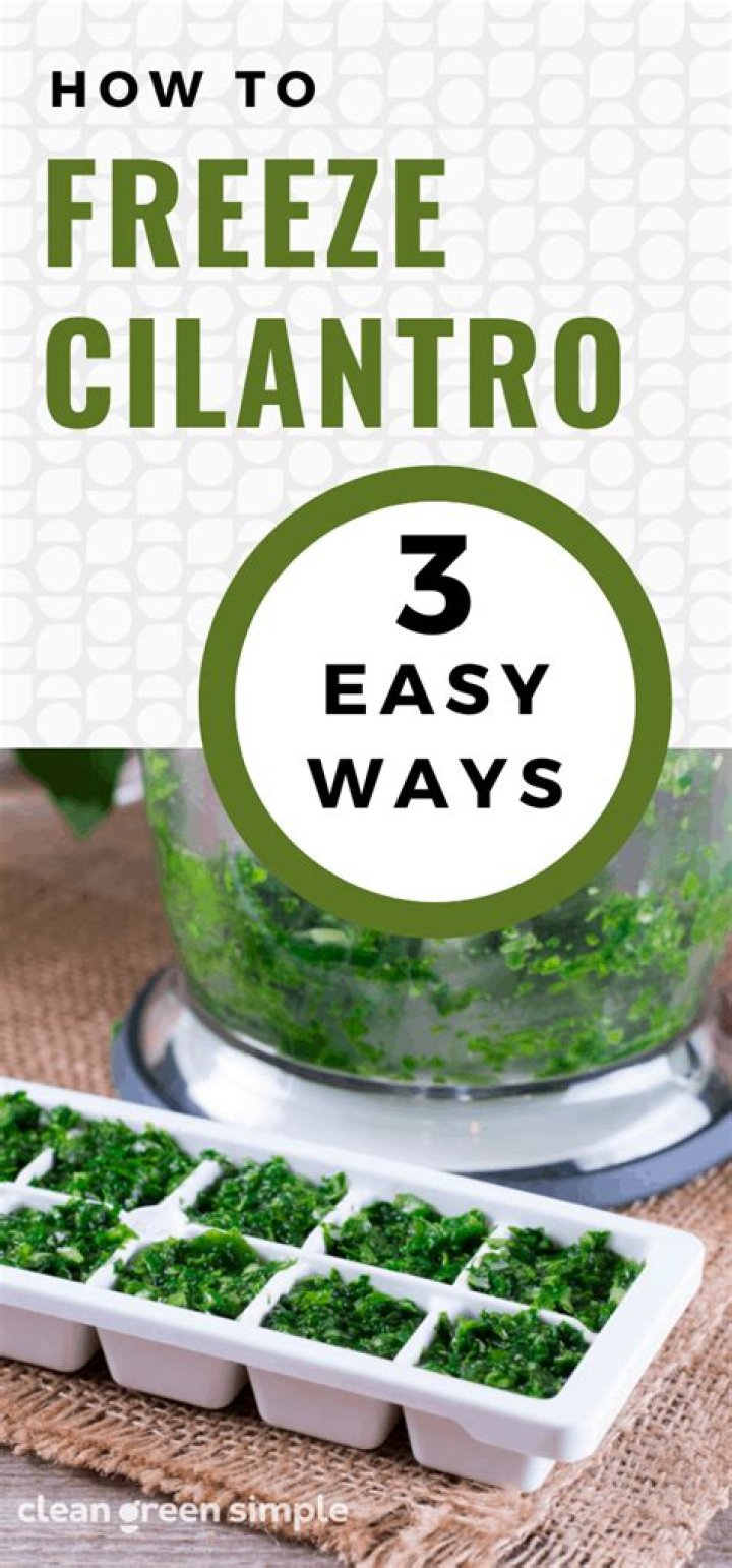 how to freeze cilantro