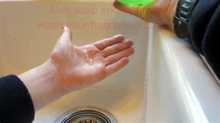how to get tree sap off skin