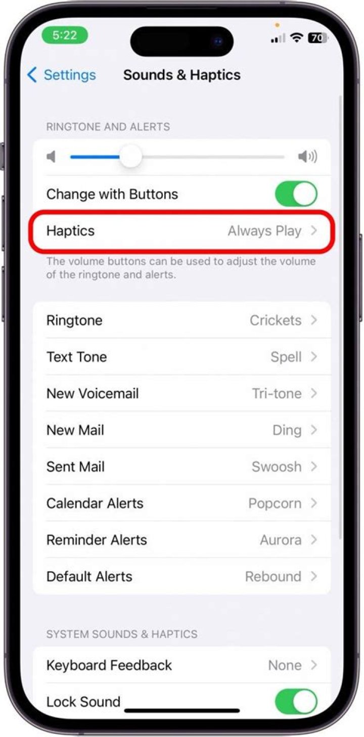 how to put iphone on vibrate