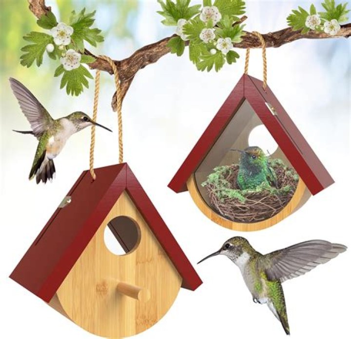 hummingbird birdhouse