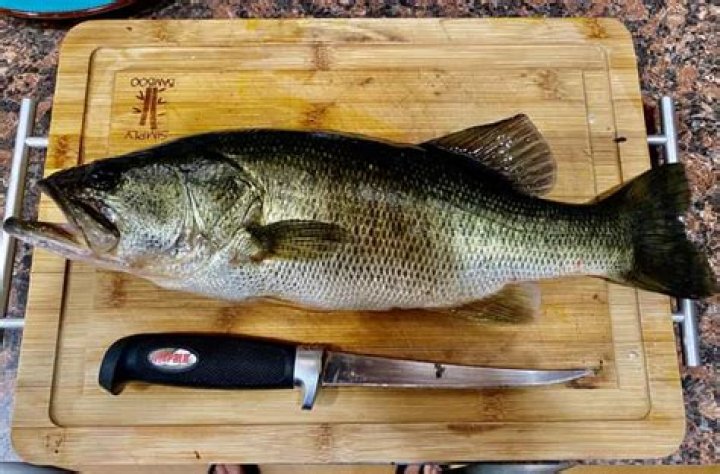 is bass good to eat