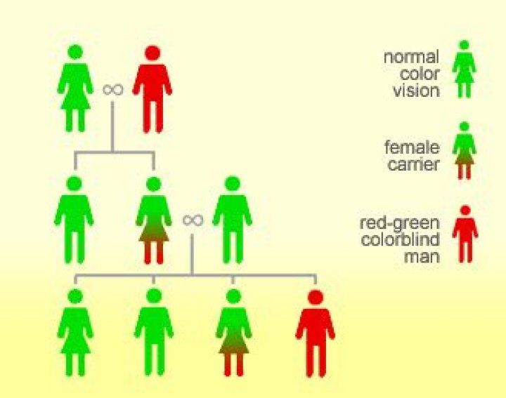 is color blindness dominant or recessive