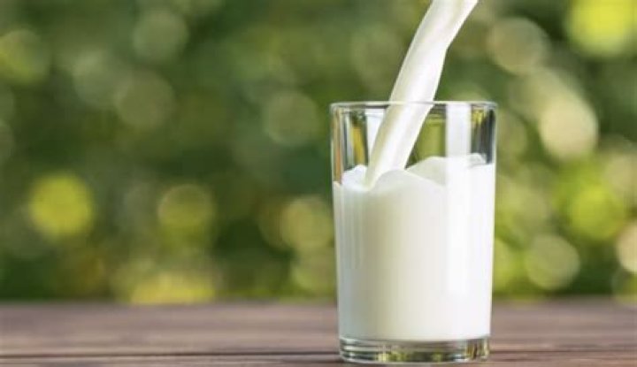 is milk a colloid